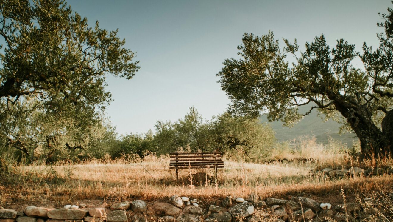 Vredesweek: 'Oorlog is niet normaal'