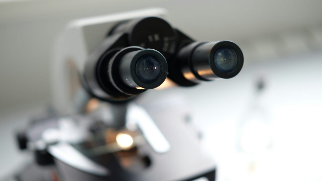 Kanttekeningen bij het debat over embryowetgeving vanuit christelijk ethisch perspectief